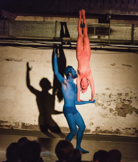 Rhizomatic Circus, Foto: ©Maximilian Rosenberger