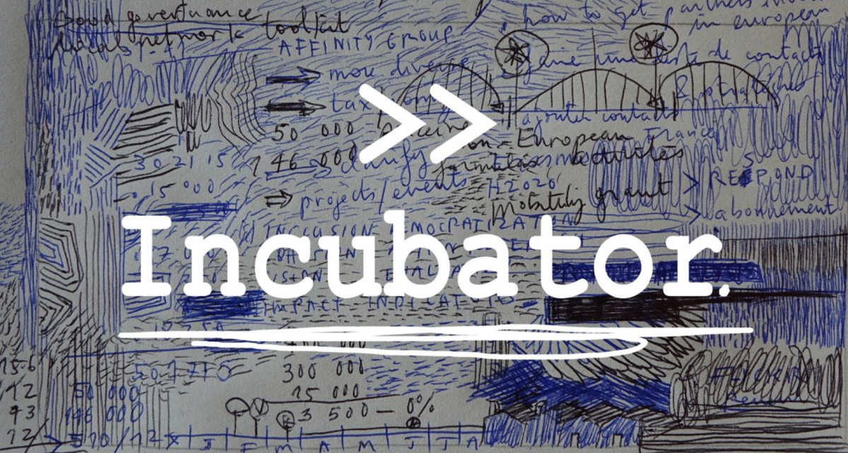 Logo Incubator Programme